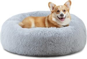 Soothing Dog Bed