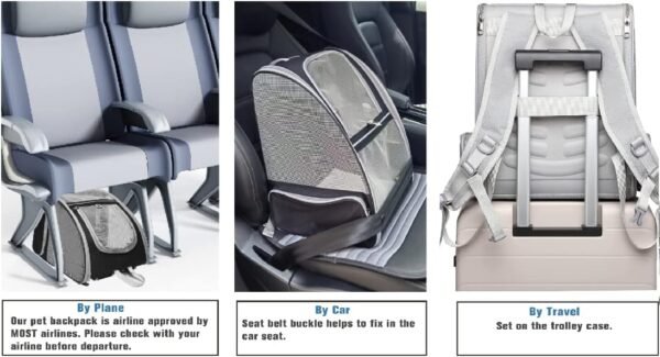 Sac à dos de transport innovant pour chats et chiens (noir)