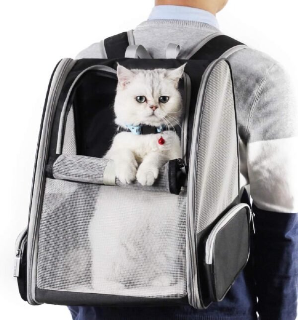 Sac à dos de transport innovant pour chats et chiens (noir)