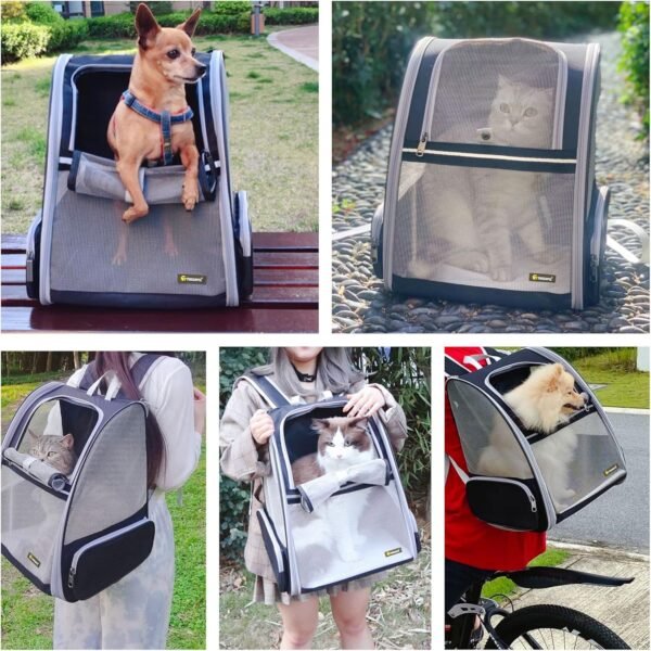 Sac à dos de transport innovant pour chats et chiens (noir)