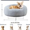 Soothing Dog Bed
