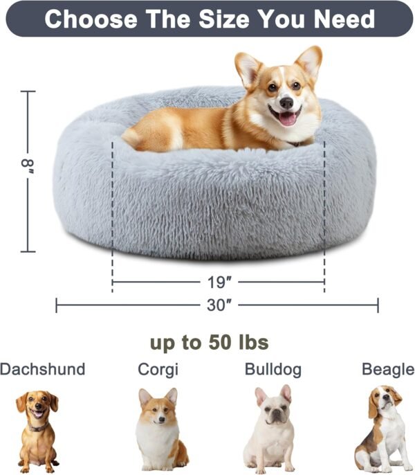 Soothing Dog Bed