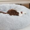 Soothing Dog Bed