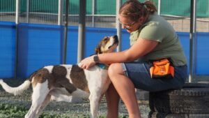 Sponsor a full shelter box